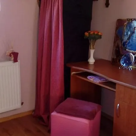 Konukevi Vila Antiaeriana Bükreş